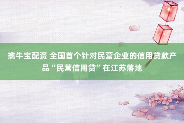 擒牛宝配资 全国首个针对民营企业的信用贷款产品“民营信用贷”在江苏落地