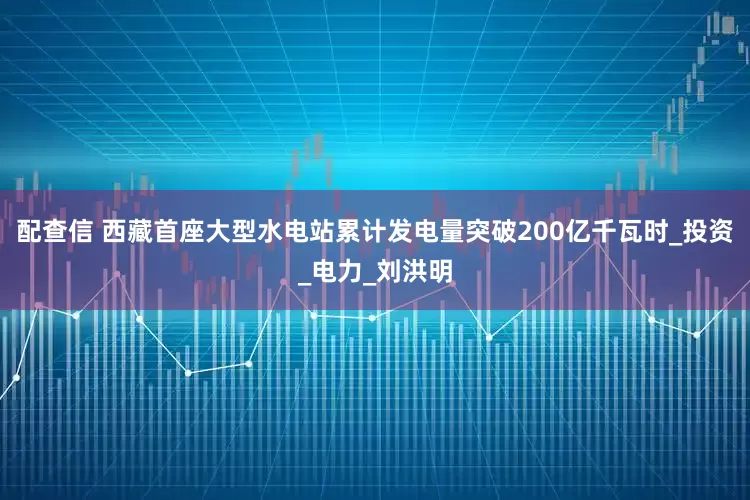 配查信 西藏首座大型水电站累计发电量突破200亿千瓦时_投资_电力_刘洪明