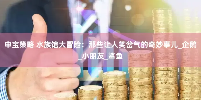 申宝策略 水族馆大冒险：那些让人笑岔气的奇妙事儿_企鹅_小朋友_鲨鱼