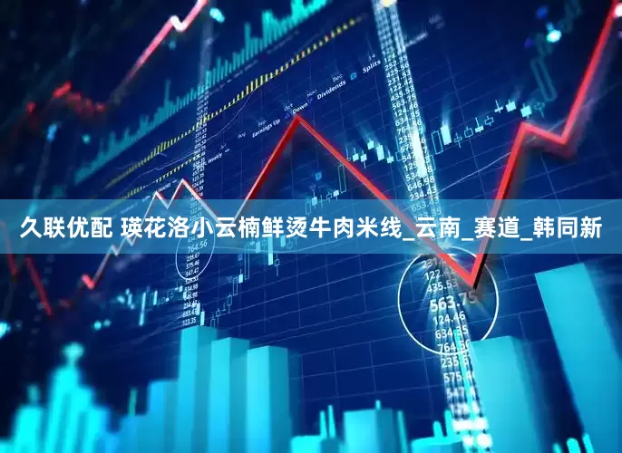 久联优配 瑛花洛小云楠鲜烫牛肉米线_云南_赛道_韩同新