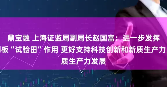 鼎宝融 上海证监局副局长赵国富：进一步发挥科创板“试验田”作用 更好支持科技创新和新质生产力发展