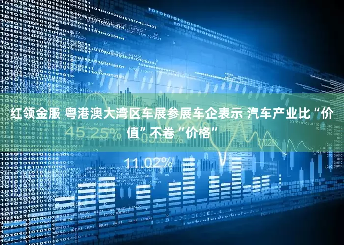红领金服 粤港澳大湾区车展参展车企表示 汽车产业比“价值”不卷“价格”