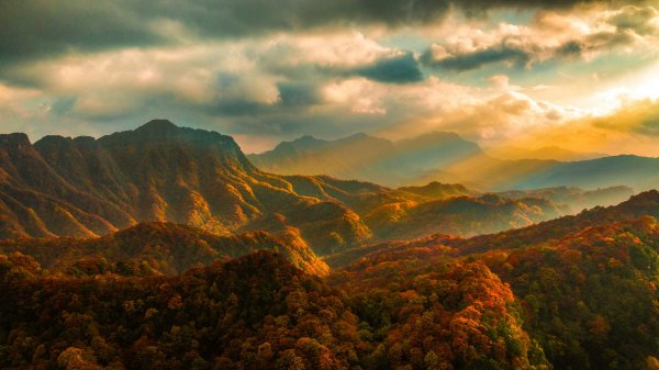 黑马配资 四川光雾山国际红叶节邀老广，10月去看“亚洲最长红地毯”