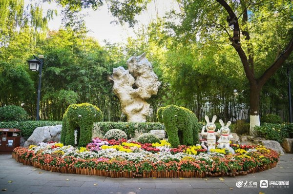 永信策略 济南第46届趵突泉金秋菊展（一）